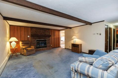 43254 Dellefield Road Elyria OH 44035