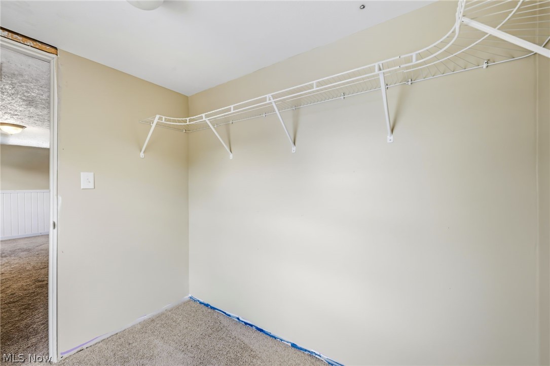 107 Renee Drive Struthers OH 44471