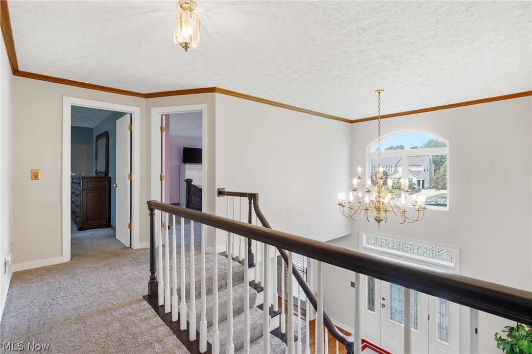 33541 Seneca Drive Solon OH 44139