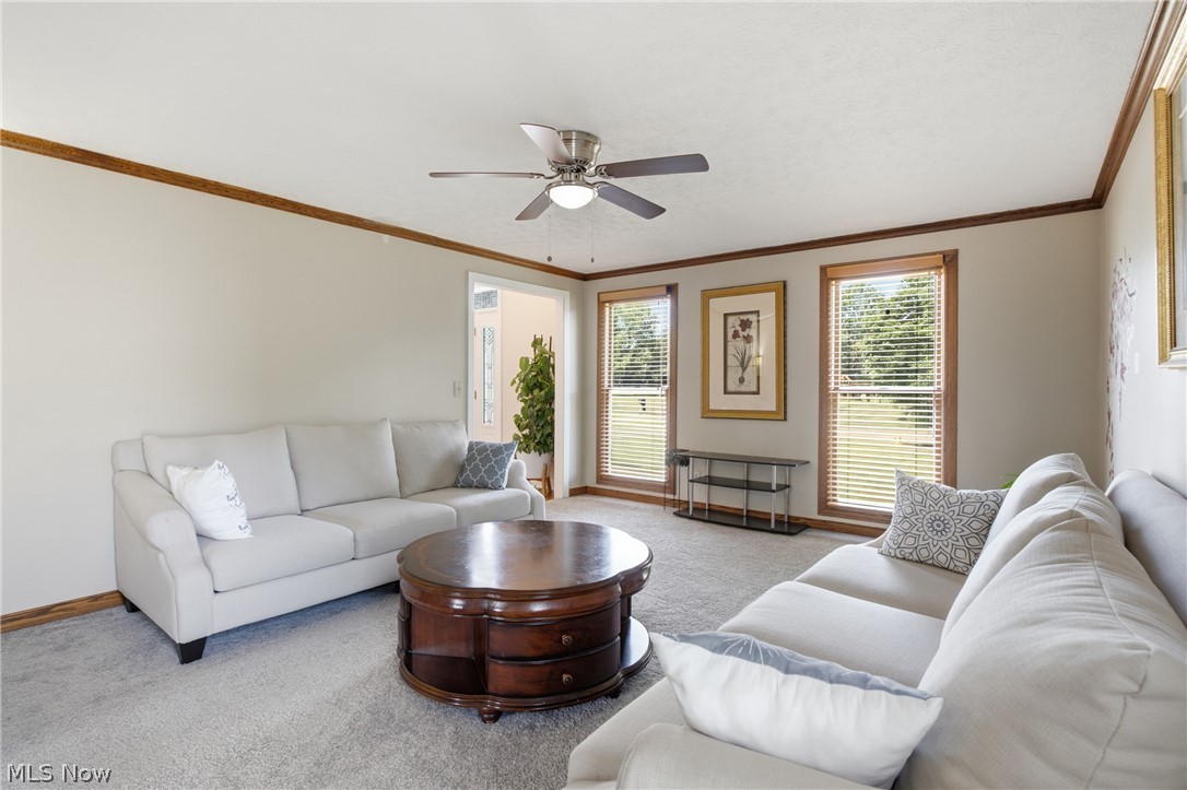 33541 Seneca Drive Solon OH 44139