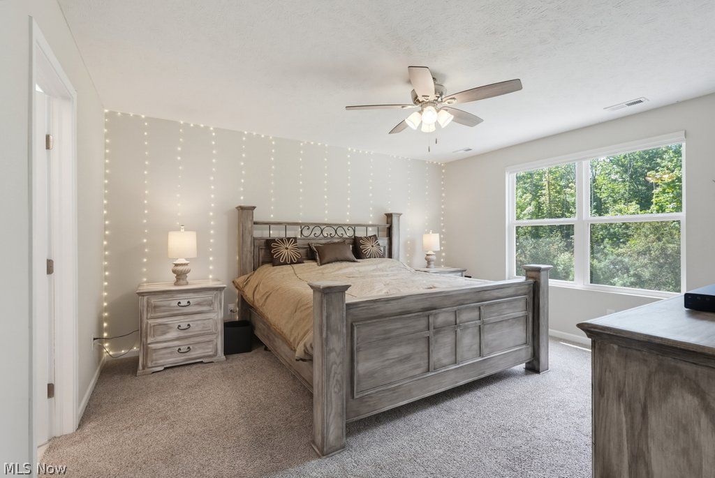3138 Blue Jaye Lane Twinsburg OH 44087