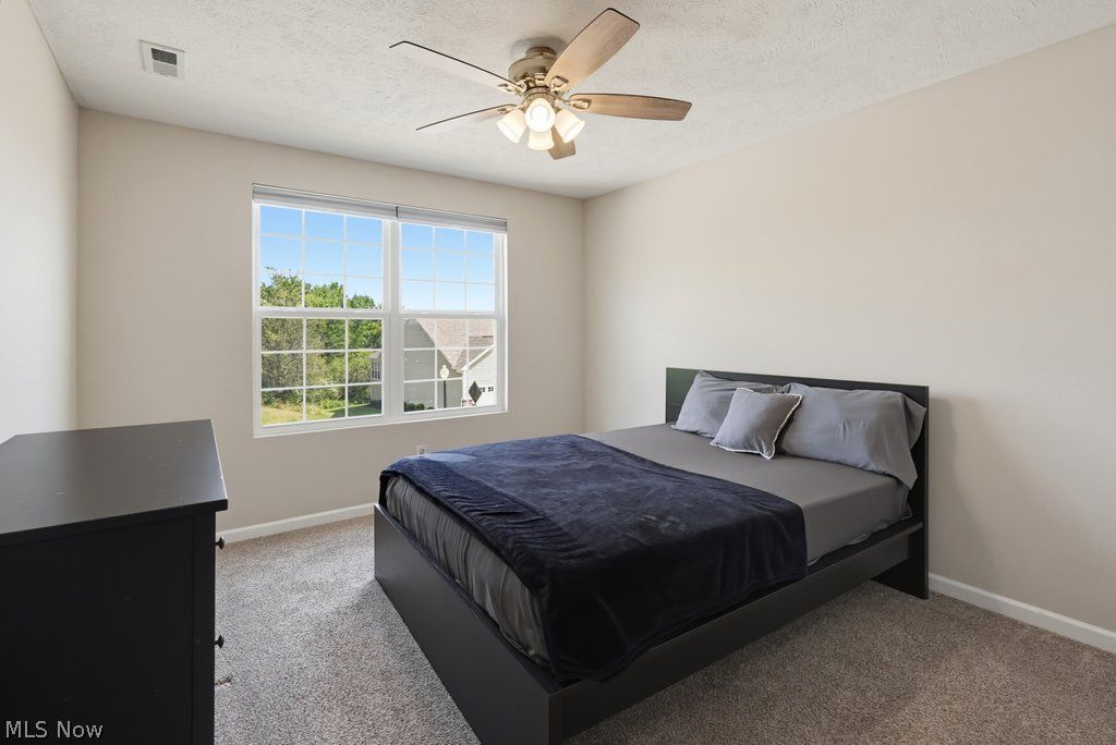 3138 Blue Jaye Lane Twinsburg OH 44087