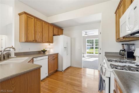 36001 Haverford Place Avon OH 44011