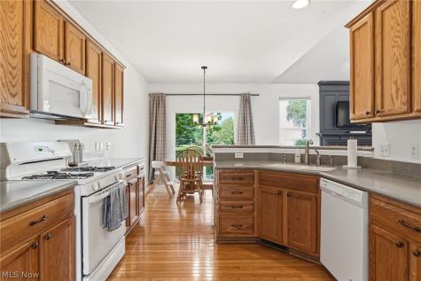 36001 Haverford Place Avon OH 44011