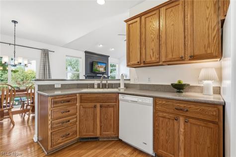 36001 Haverford Place Avon OH 44011