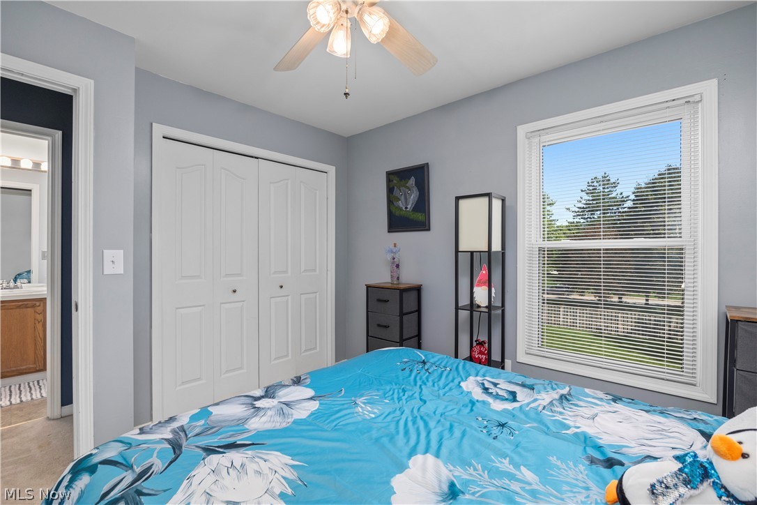 3025 Merino Lane Twinsburg OH 44087