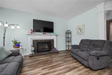 3025 Merino Lane Twinsburg OH 44087