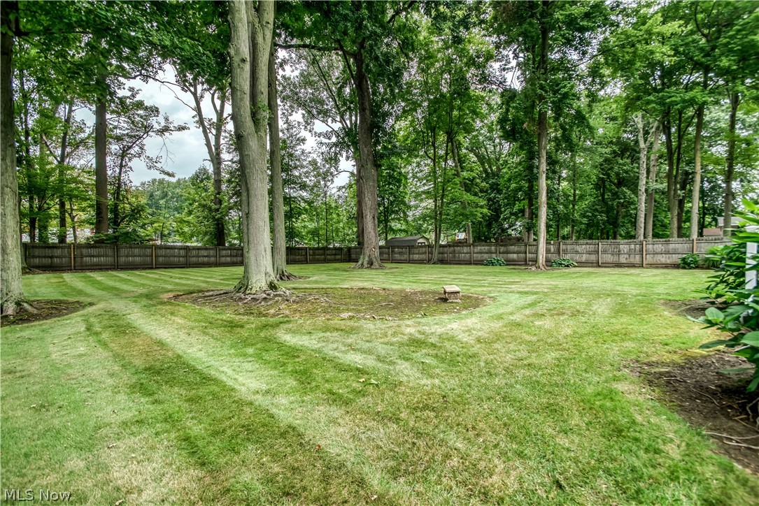 5828 Grovewood Drive Mentor OH 44060