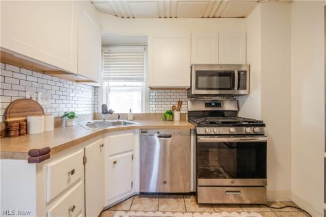 1344 Manor Park Avenue Lakewood OH 44107
