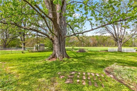 39568 Carol Lane Elyria OH 44035