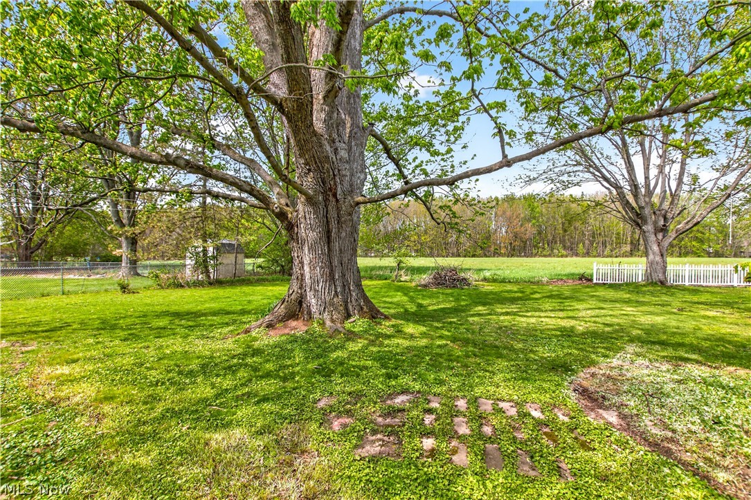 39568 Carol Lane Elyria OH 44035