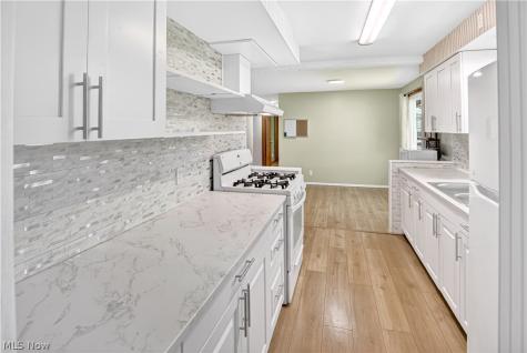 39568 Carol Lane Elyria OH 44035