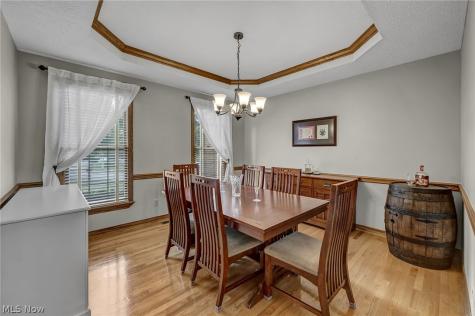 1238 Ty Drive Medina OH 44256