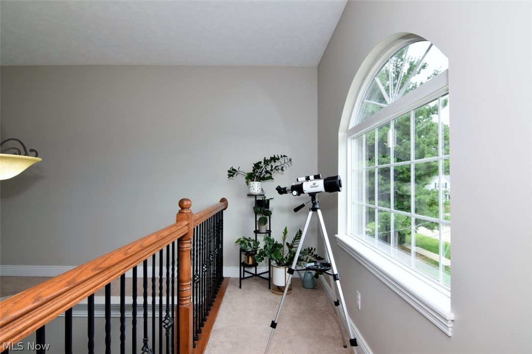 692 N Elmwood Avenue Wickliffe OH 44092