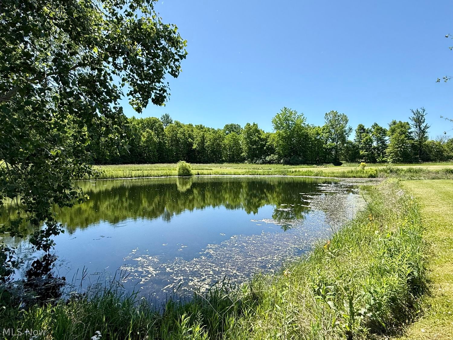 28509 Hawley Road Sullivan OH 44880