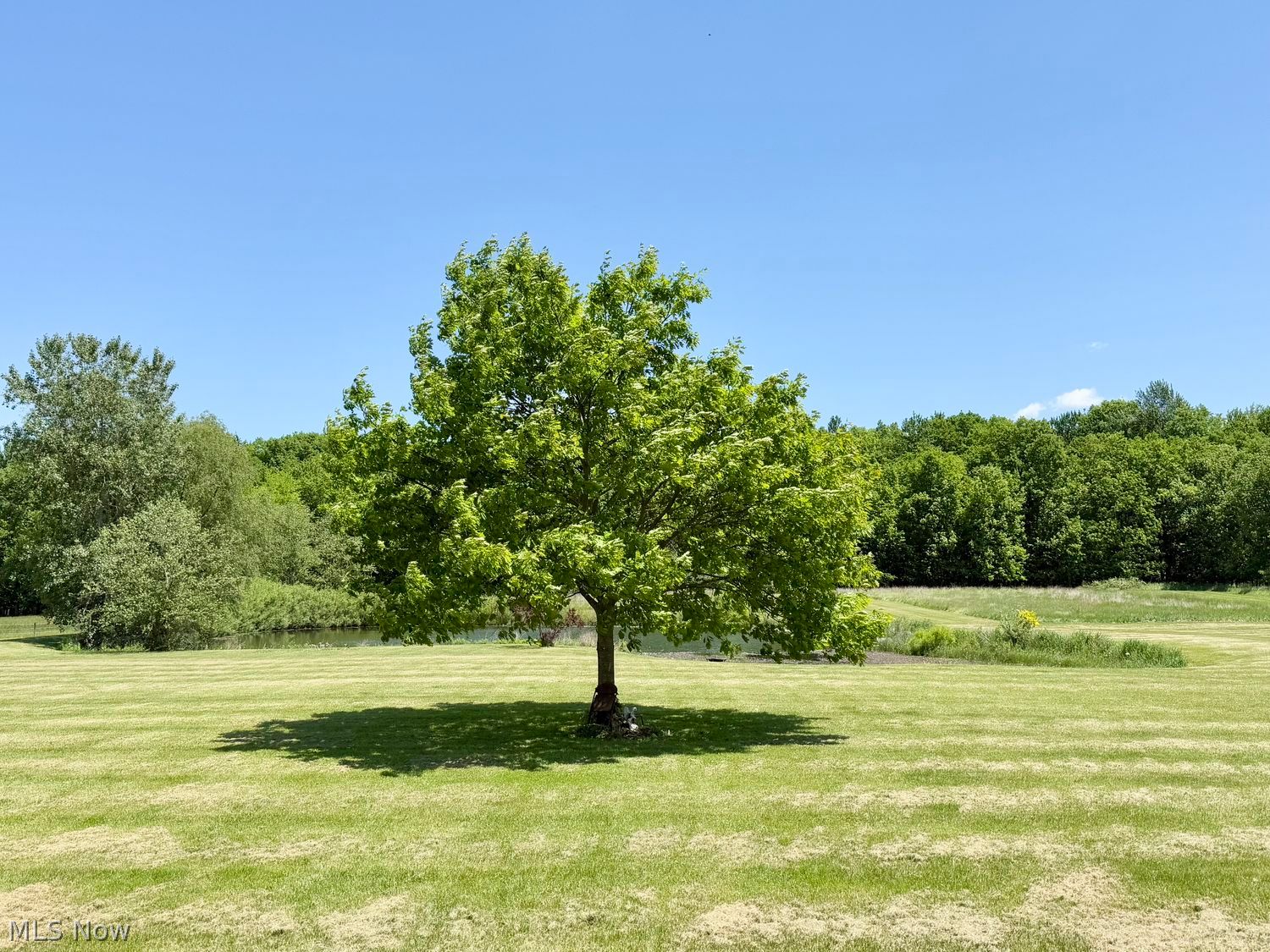 28509 Hawley Road Sullivan OH 44880