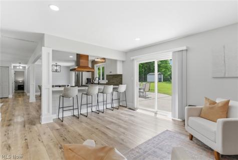 161 Devorah Drive Aurora OH 44202