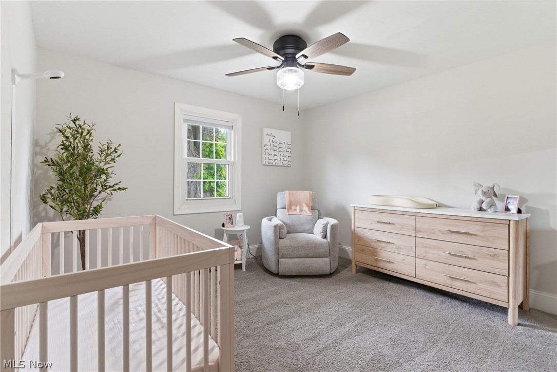 161 Devorah Drive Aurora OH 44202