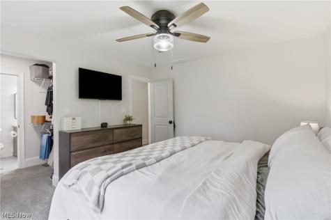 161 Devorah Drive Aurora OH 44202