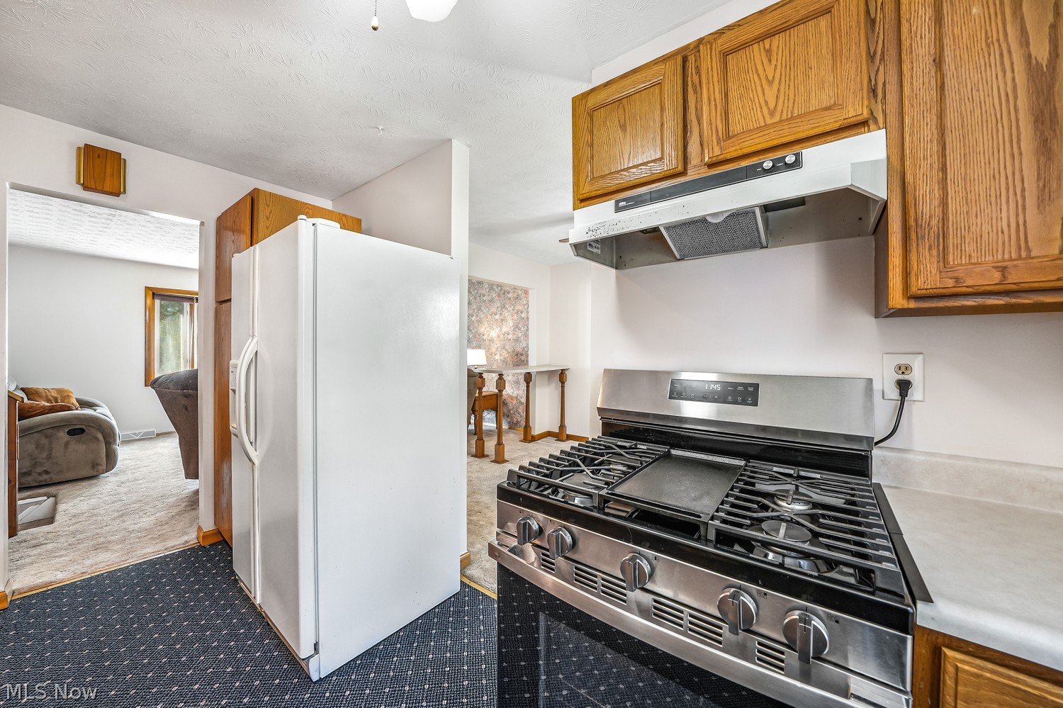 9148 Elm Circle Windham OH 44288