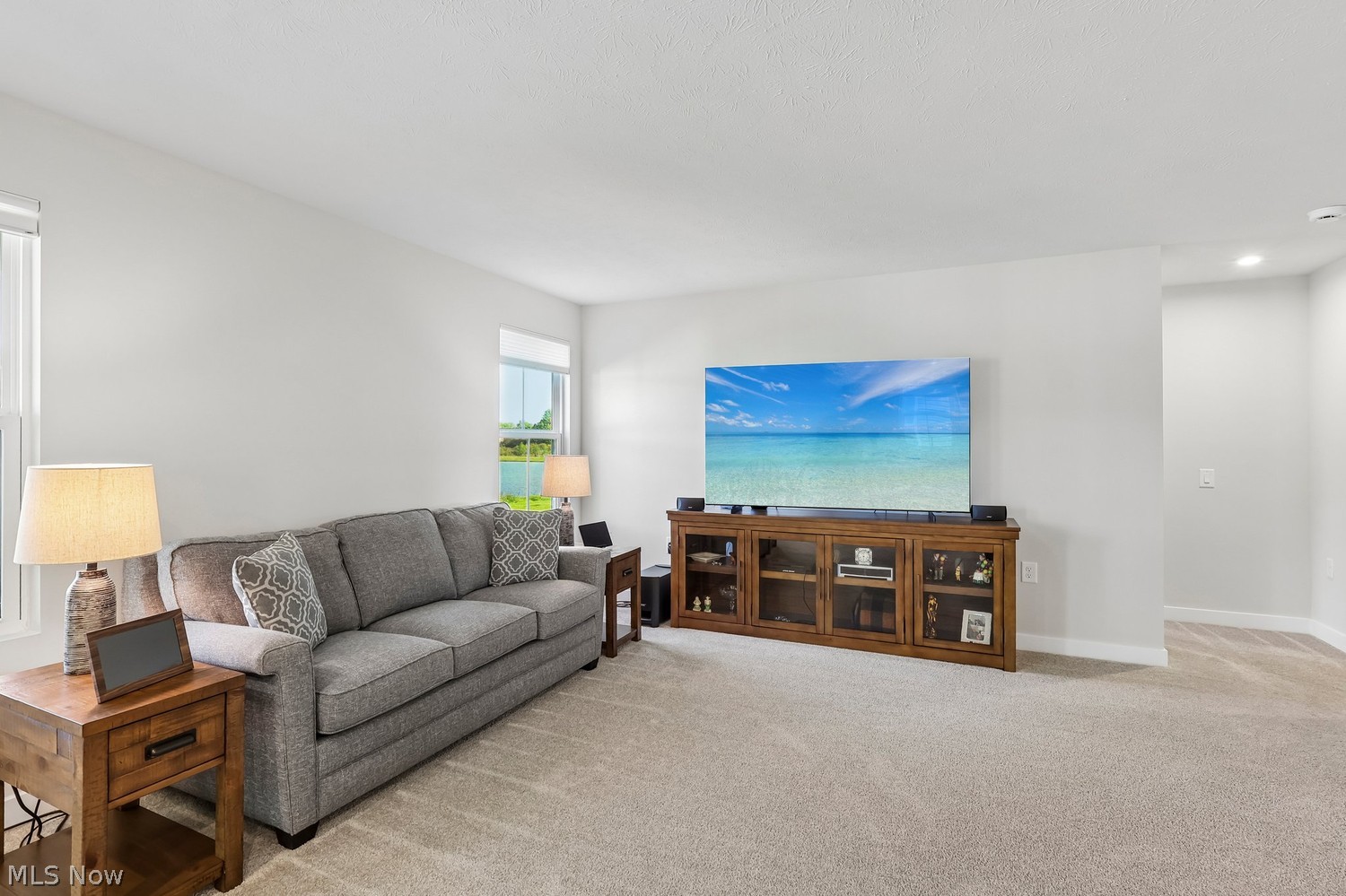 3725 Willow Way Perry OH 44081