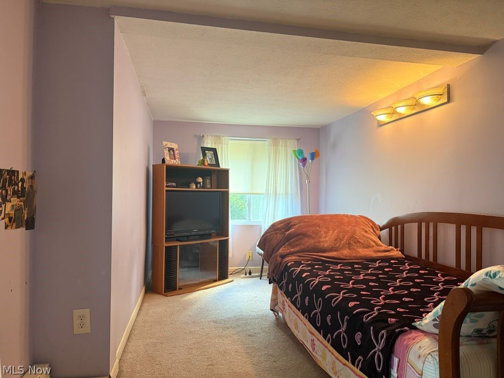 449 N Broadway Geneva OH 44041