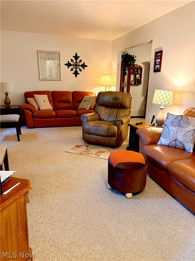 7473 Jaguar Drive Boardman OH 44512