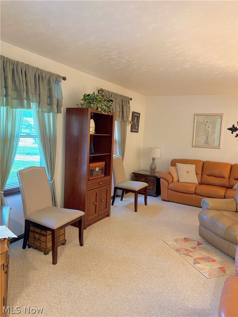 7473 Jaguar Drive Boardman OH 44512