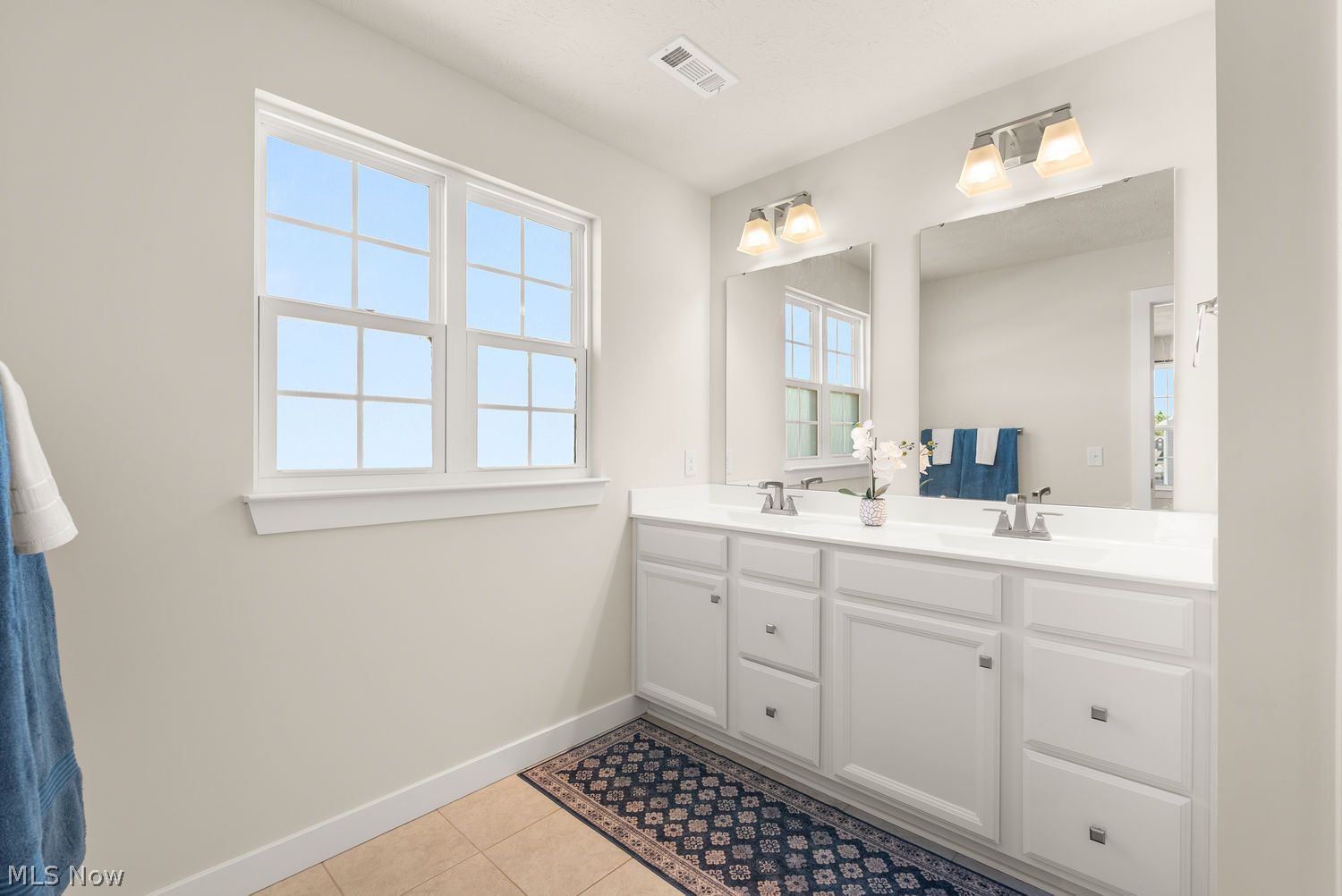 23452 Daisey Drive Columbia Station OH 44028