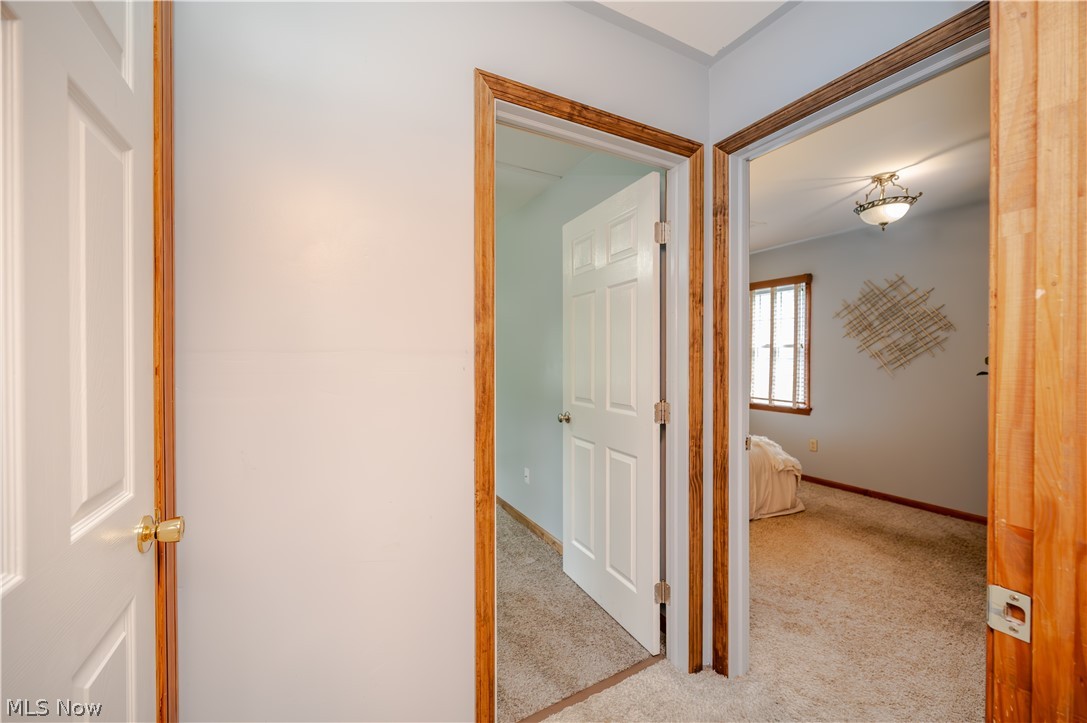 4631 March Avenue Youngstown OH 44505