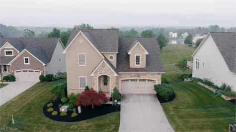 6056 Mint Hill Drive Medina OH 44256