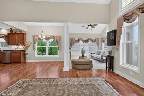 6056 Mint Hill Drive Medina OH 44256