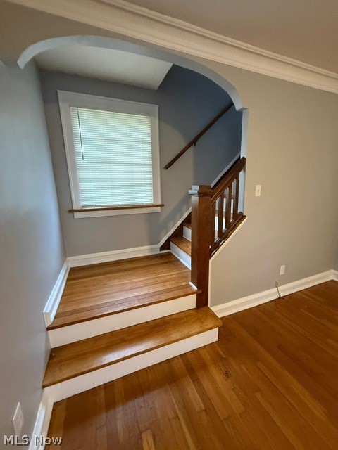 52 Meadowbrook Avenue Boardman OH 44512
