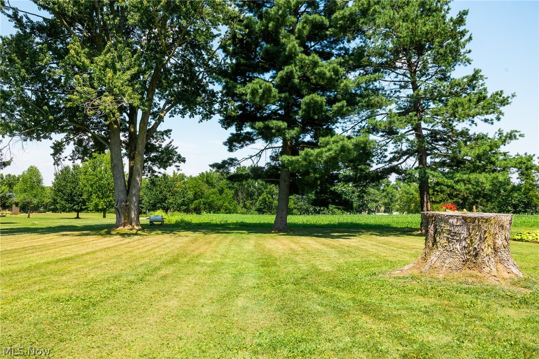 14138 Nussbaum Road Dalton OH 44618