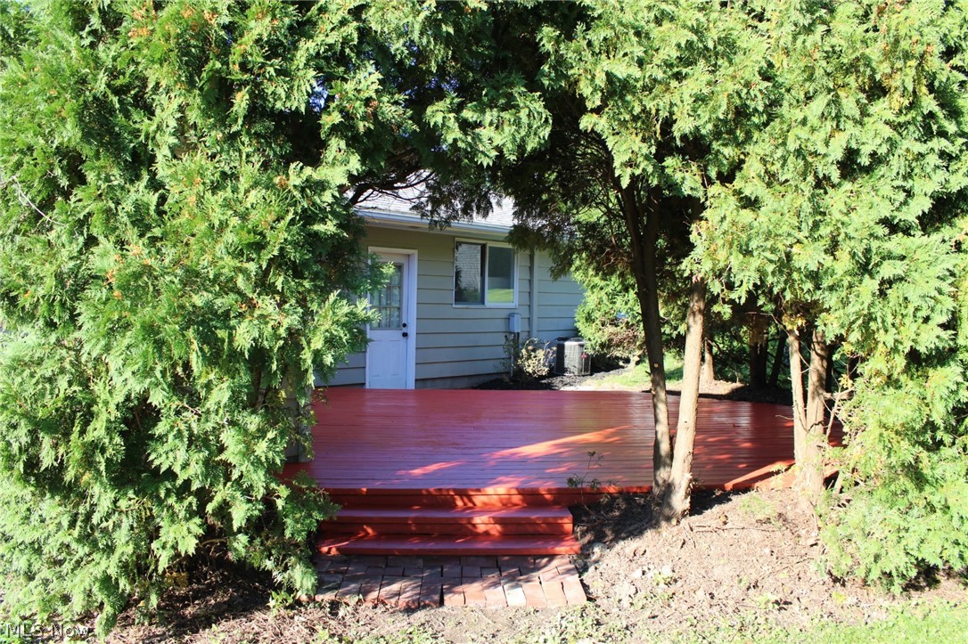 226 Willowwood Drive Chippewa Lake OH 44215