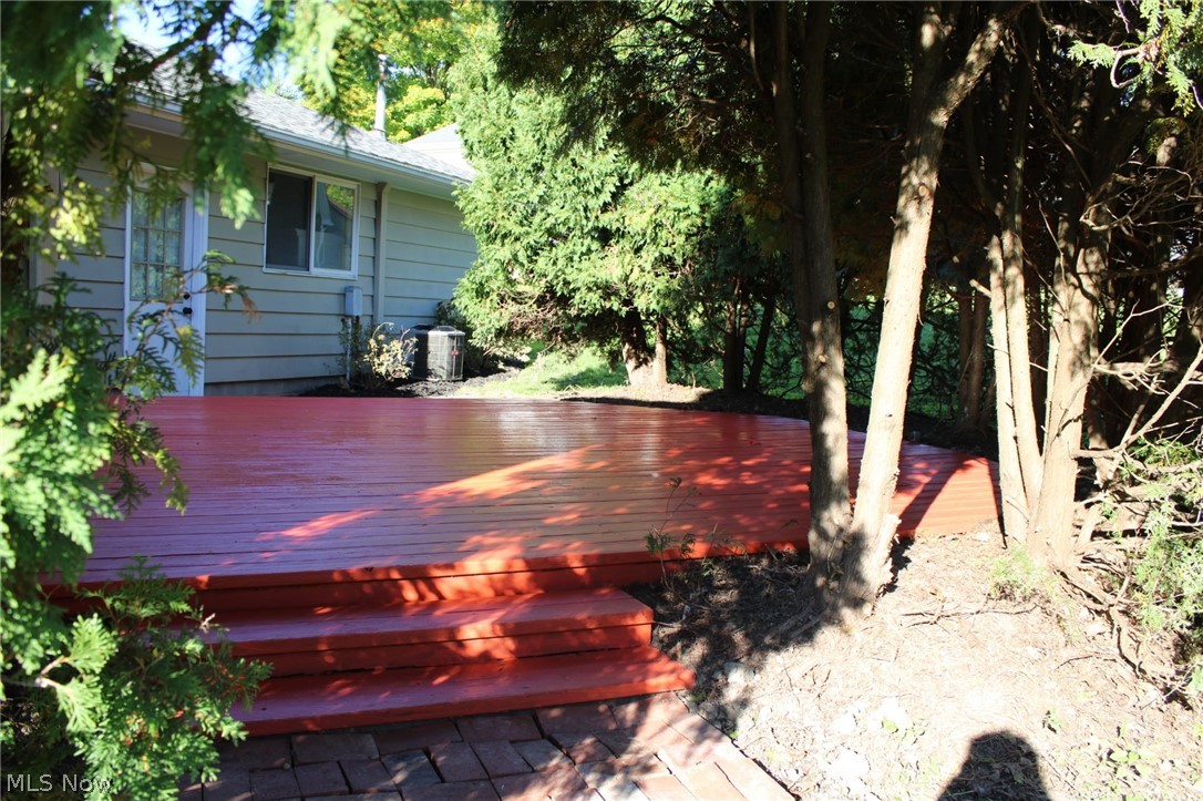 226 Willowwood Drive Chippewa Lake OH 44215