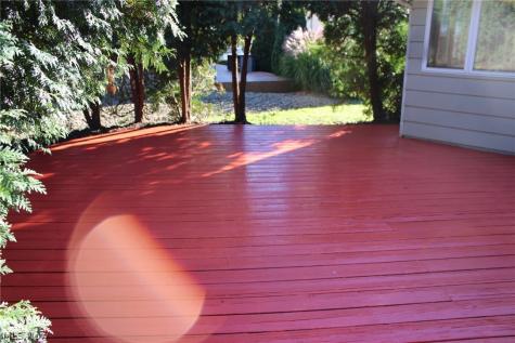 226 Willowwood Drive Chippewa Lake OH 44215