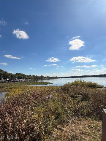 226 Willowwood Drive Chippewa Lake OH 44215