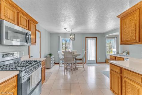 3719 Pheasants Walk Brunswick OH 44212