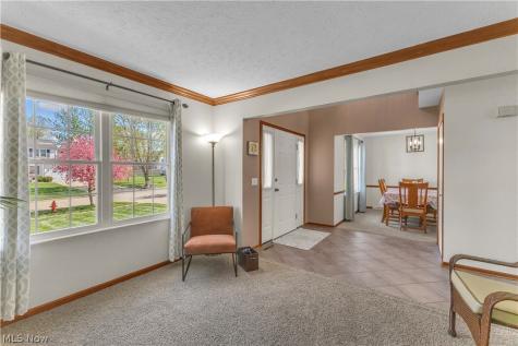 3719 Pheasants Walk Brunswick OH 44212