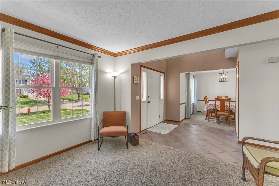 3719 Pheasants Walk Brunswick OH 44212