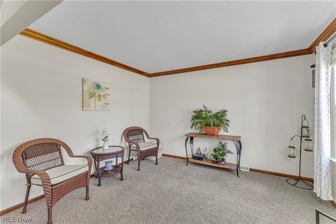 3719 Pheasants Walk Brunswick OH 44212