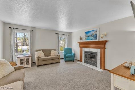 3719 Pheasants Walk Brunswick OH 44212