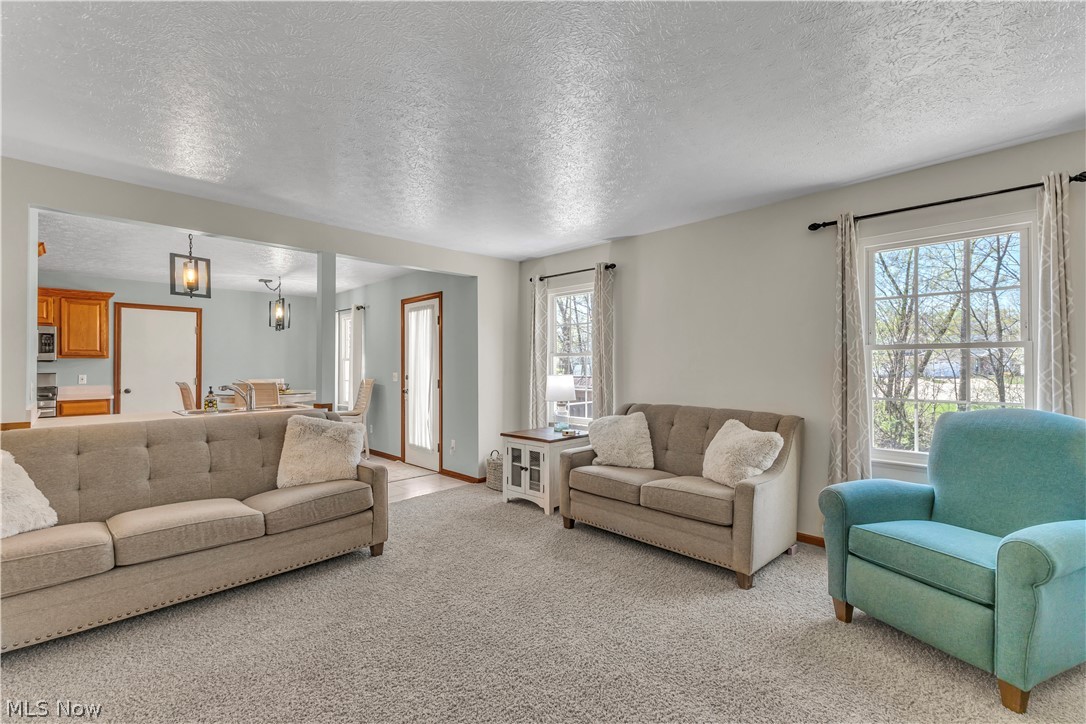 3719 Pheasants Walk Brunswick OH 44212
