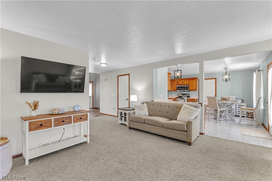 3719 Pheasants Walk Brunswick OH 44212