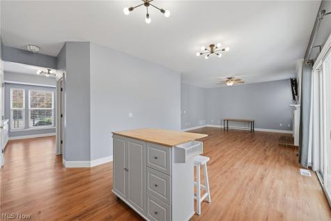 828 Theora Drive Brunswick OH 44212