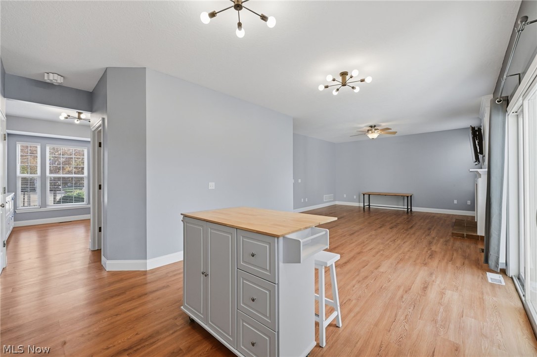 828 Theora Drive Brunswick OH 44212
