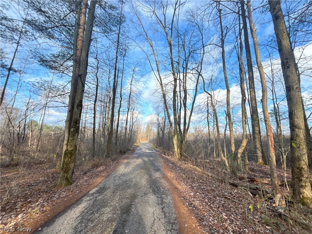 10785 Bell Road Newbury OH 44065