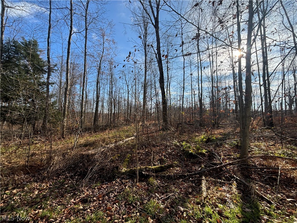 10785 Bell Road Newbury OH 44065