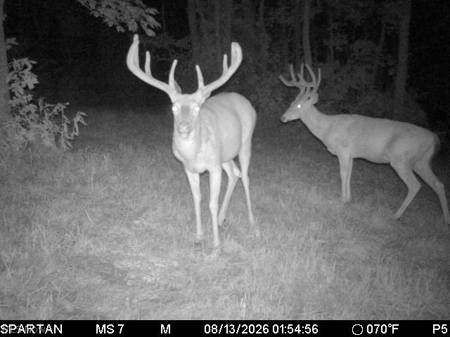 19701 Township Road 160 West Lafayette OH 43845